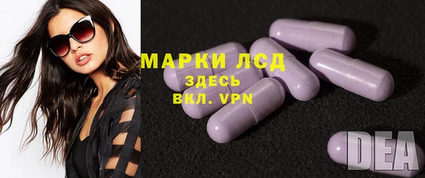 прущие грибы Богданович