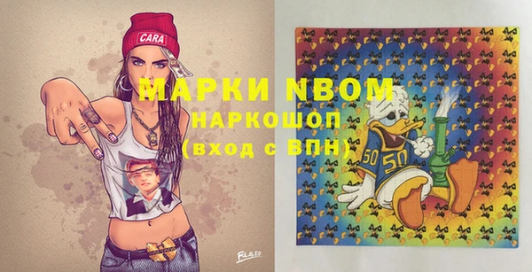 прущие грибы Богданович