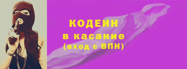прущие грибы Богданович