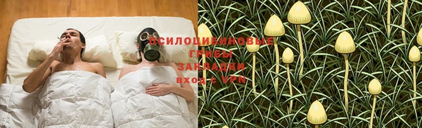 синтетический гашиш Богородск
