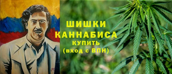 прущие грибы Богданович