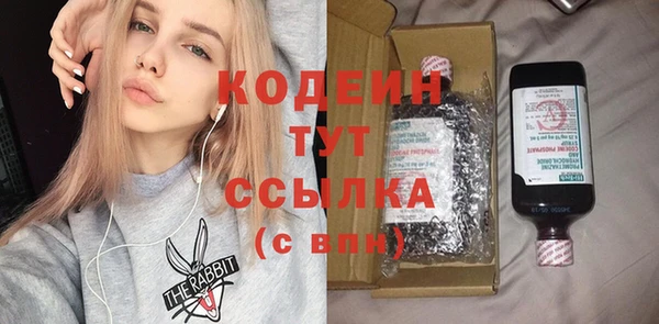 прущие грибы Богданович