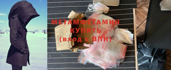 прущие грибы Богданович