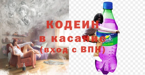 прущие грибы Богданович