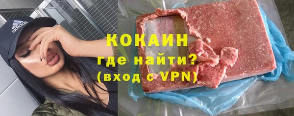 прущие грибы Богданович