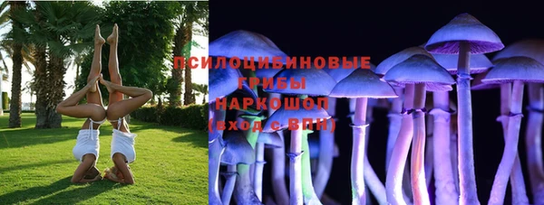 синтетический гашиш Богородск
