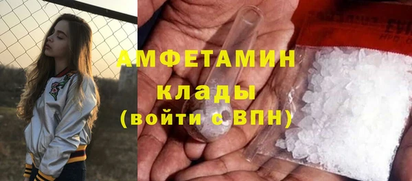 прущие грибы Богданович