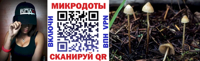 Галлюциногенные грибы ЛСД Дно